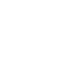 Degen Events Logo
